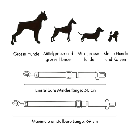 Anschnallgurt Hund Auto
