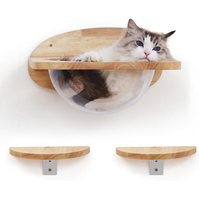 Katzen Kletterwand