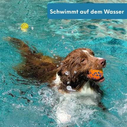 Interaktiver Hundeball