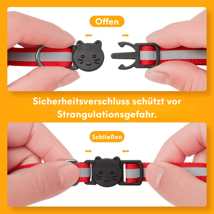 Halsband Katze mit Sicherheitsverschluss