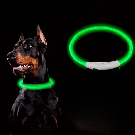 Leuchthalsband Hund