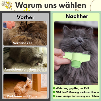 Katzenbürste