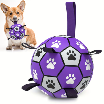 Hundeball mit Griff