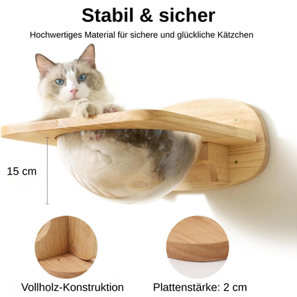 Katzen Kletterwand