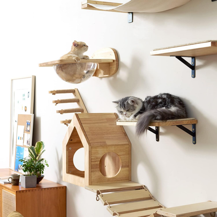 Katzen Kletterwand