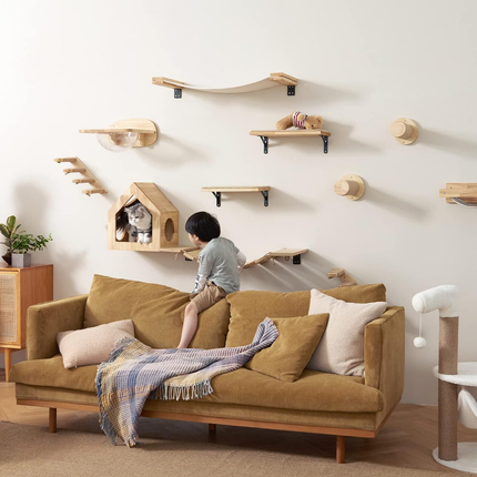 Katzen Kletterwand
