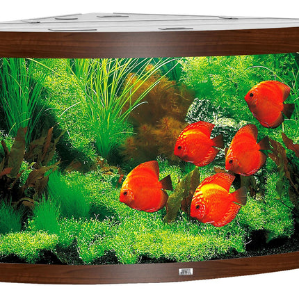 Aquarium d'angle Trigon 350, marron foncé