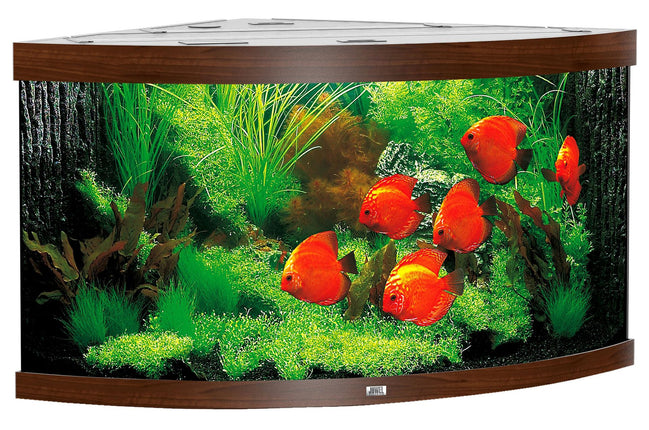 Aquarium d'angle Trigon 350, marron foncé