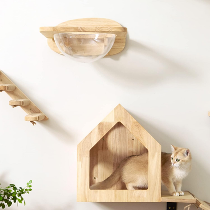 Katzen Kletterwand