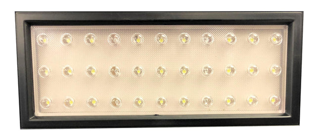 Lampe de rechange avec capteur pour AquariumE-15 ws