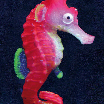 Floating Seepferd