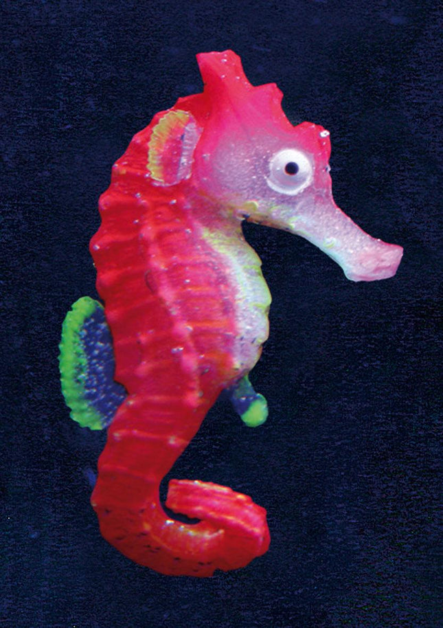 Hippocampe flottant