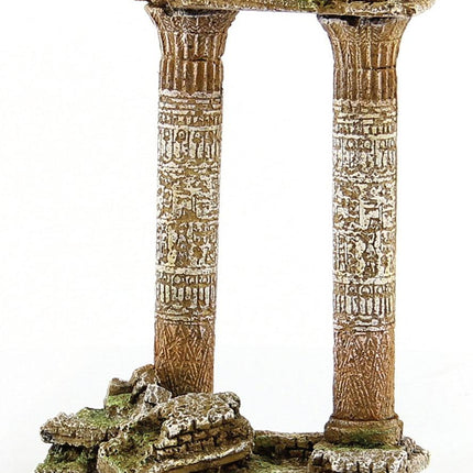 colonne
