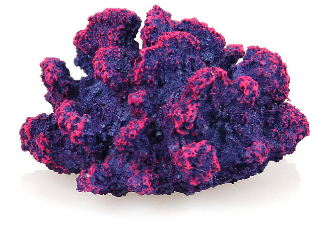 Violet corail KP015-2-085A, 9x9x5cm
