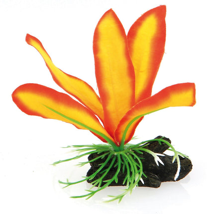 Fantasy Plant Nano AT, orange