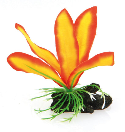 Fantasy Plant Nano AT, orange