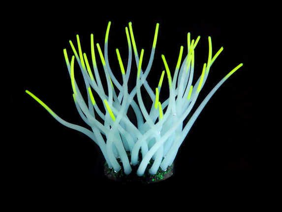 Plantes en plastique FLUO Anémone de mer, bleu clair/jaune
