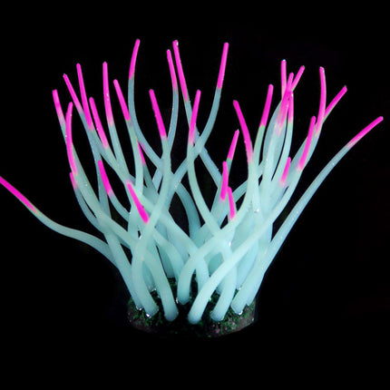 Plantes en plastique FLUO Sea-Anemone, bleu clair/rose