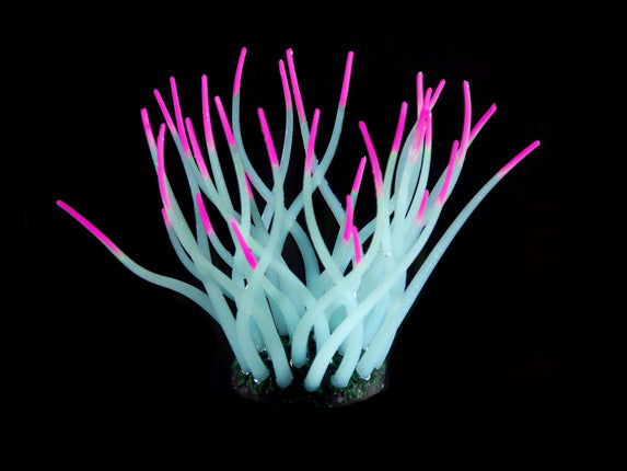 Plantes en plastique FLUO Sea-Anemone, bleu clair/rose