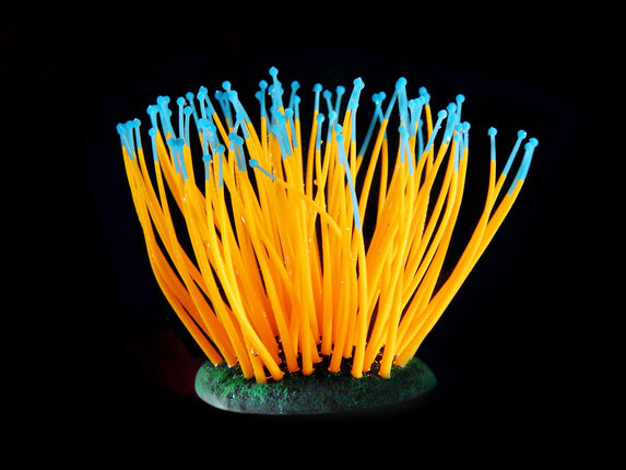 Plantes en plastique FLUO Anémone de mer, orange