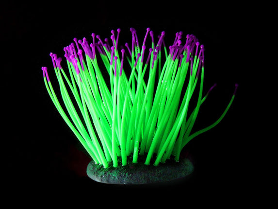 Plantes en plastique FLUO Anémone de mer, verte