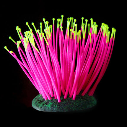 Plantes en plastique FLUO Anémone de mer, rose
