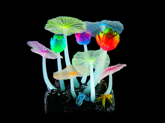 Plantes en plastique FLUO Lotus R6, 12x9,5x7cm