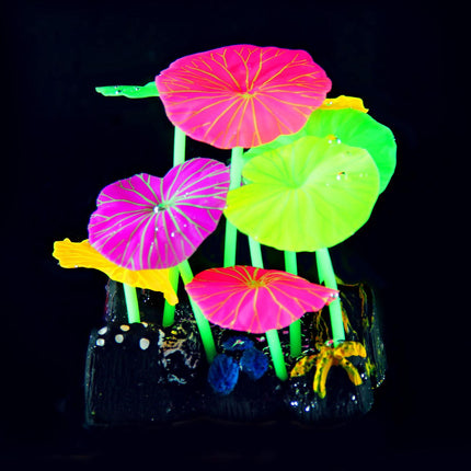 Plantes en plastique FLUO Lotus R12, 10,5x9,5x6,5cm