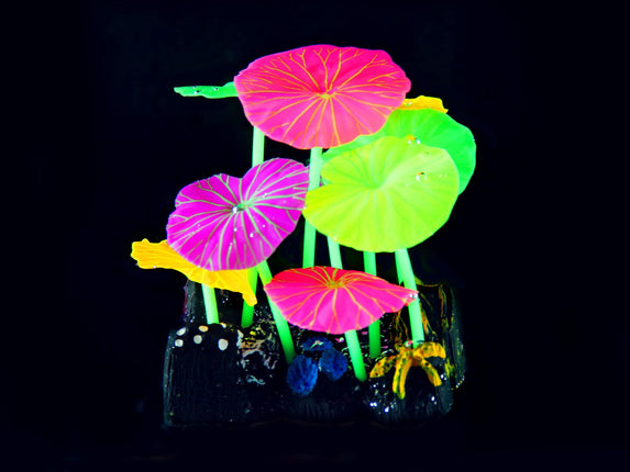 Plantes en plastique FLUO Lotus R12, 10,5x9,5x6,5cm