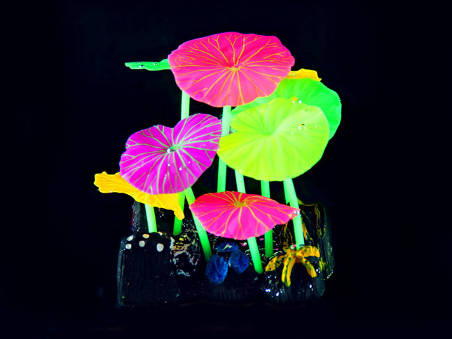 Plantes en plastique FLUO Lotus R12, 10,5x9,5x6,5cm