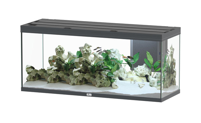 Aquarium Volga 450, gris