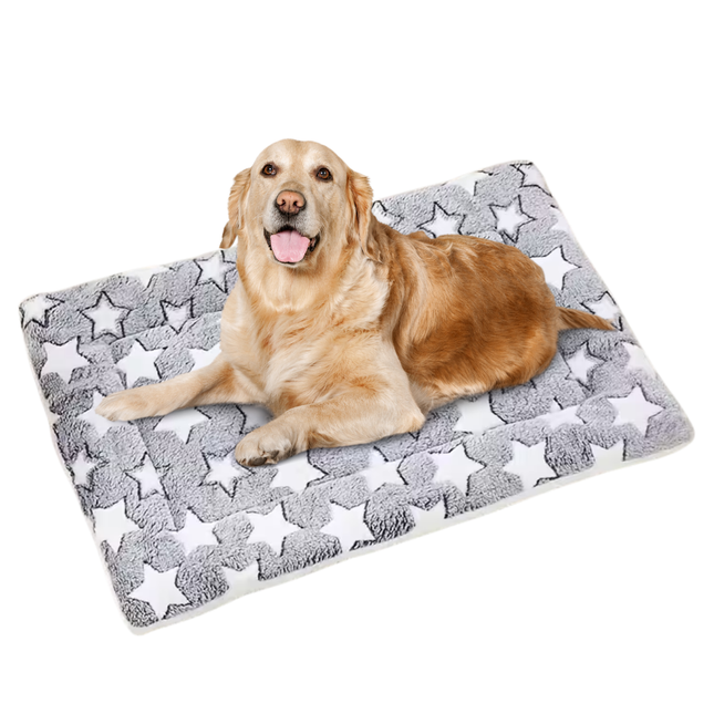 Hundebox Bett Matratze