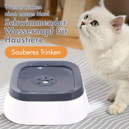 Wassernapf Hund Ohne Sabbern