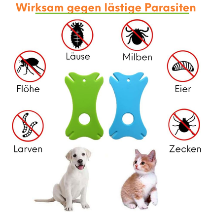 Zeckenkarte mit Lupe