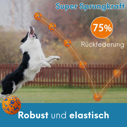 Interaktiver Hundeball