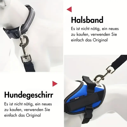 Anschnallgurt Hund Auto