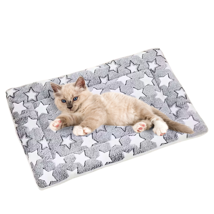 Hundebox Bett Matratze