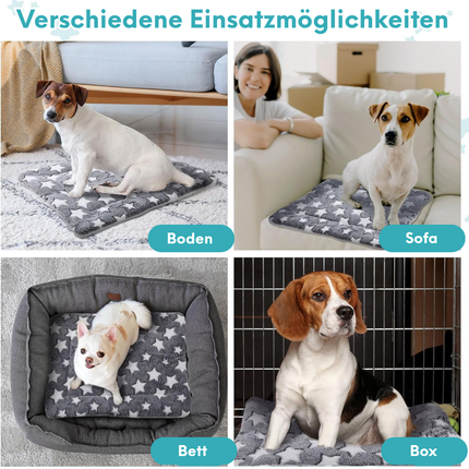 Hundebox Bett Matratze