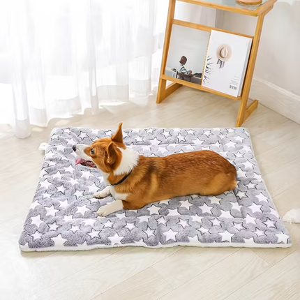 Hundebox Bett Matratze
