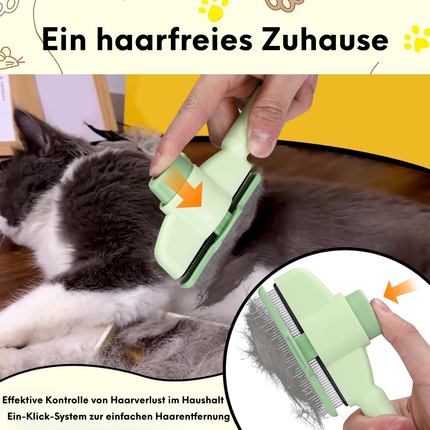 Katzenbürste