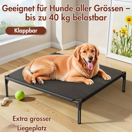 Hundeliege