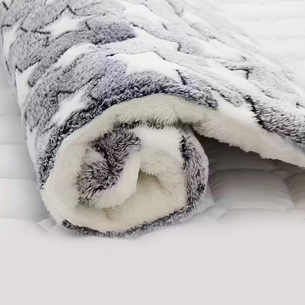 Hundebox Bett Matratze