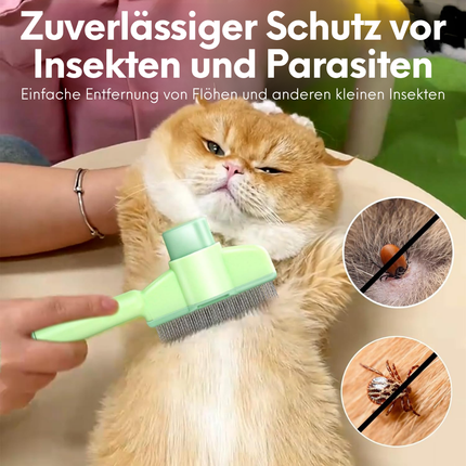 Katzenbürste