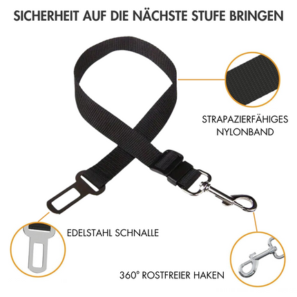 Anschnallgurt Hund Auto