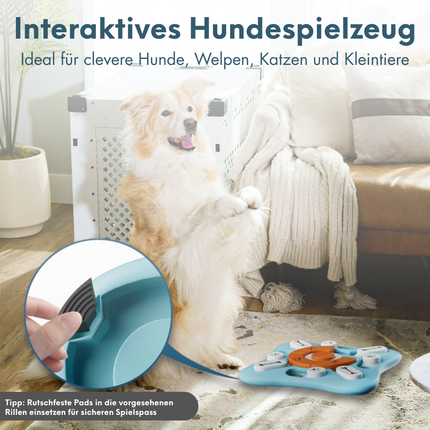 Intelligenzspielzeug für Hunde
