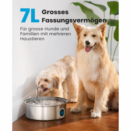 7L Trinkbrunnen für Hunde