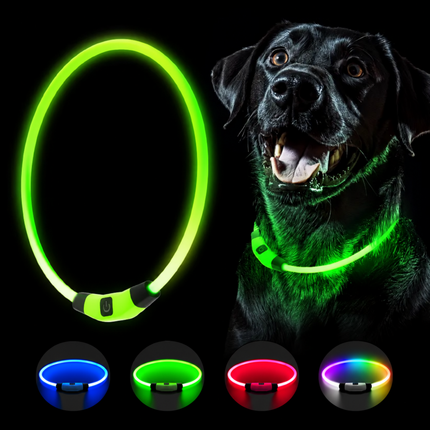 Leuchthalsband Hund USB Aufladbar