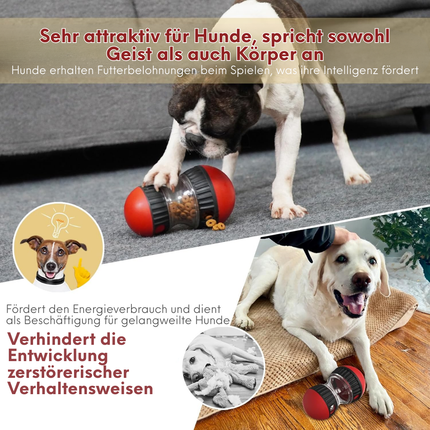 Interaktives Hundespielzeug, Futterball