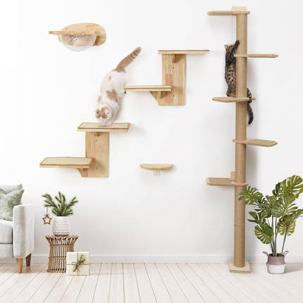 Kletterwand Katze, 2 Plattform