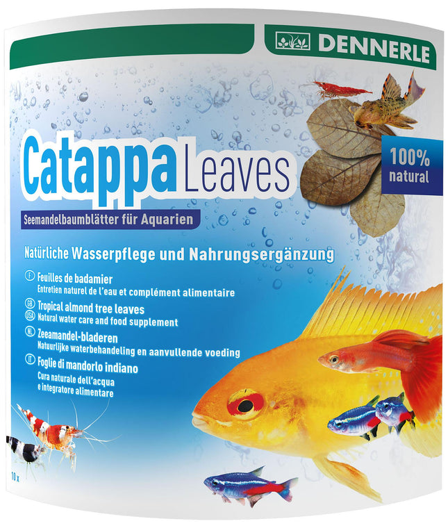 AquaRico Catappa Leaves - feuilles d'amandier de mer 10 pièces pour 800 litres